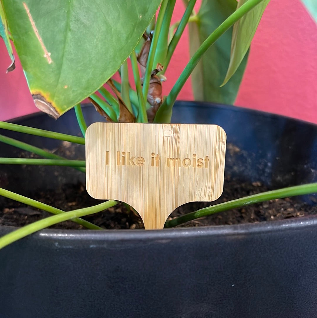 "I Like It Moist" Plant Marker