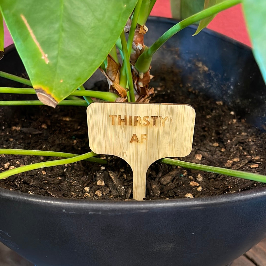 "Thirsty AF" Plant Marker