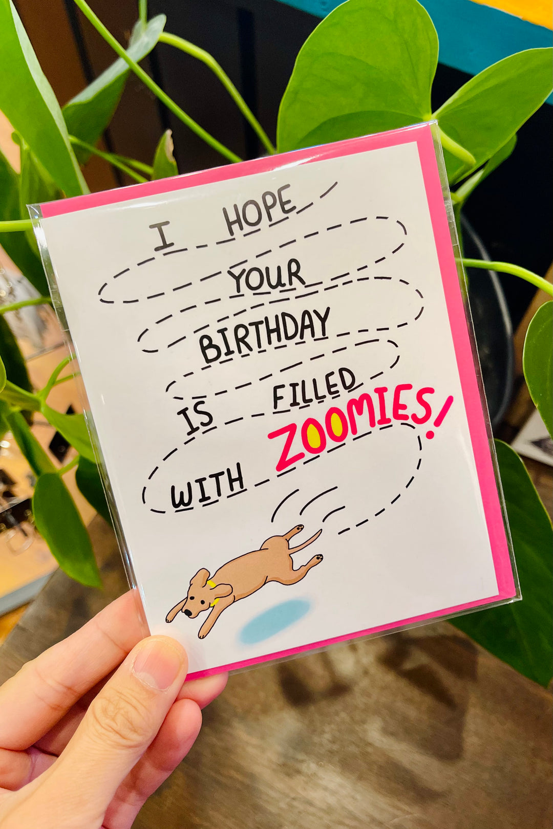 Birthday Zoomies Greeting Card
