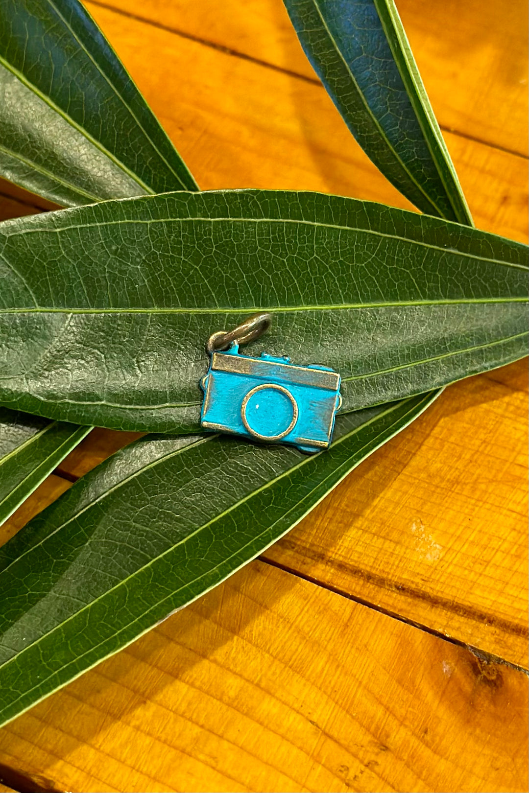 Gleeful Peacock Charm: Camera