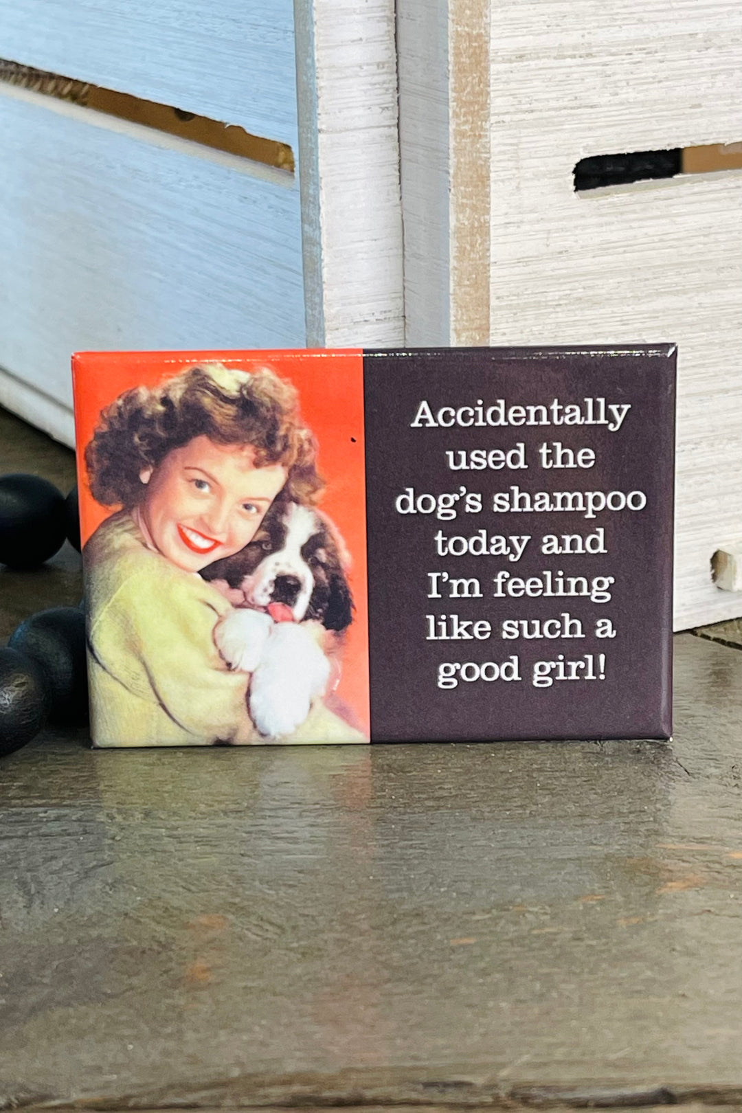 MAGNET: Dog's Shampoo