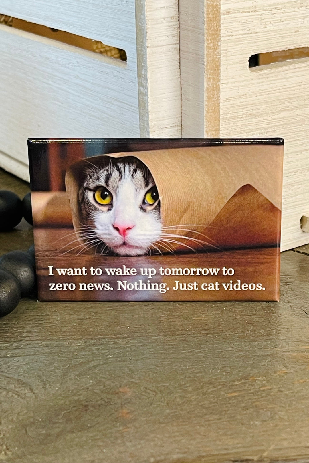 MAGNET: Just Cat Videos