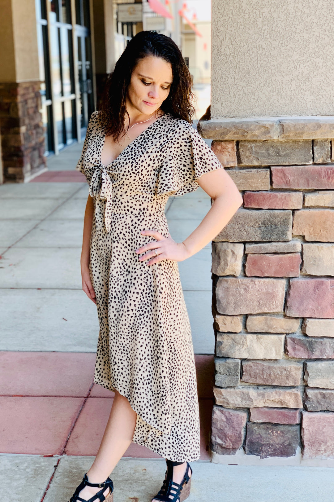 Stassi Leopard Print Dress